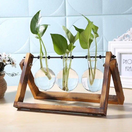 Glass and Wood Vase Planter Table Desktop - The Cozy Eclectic